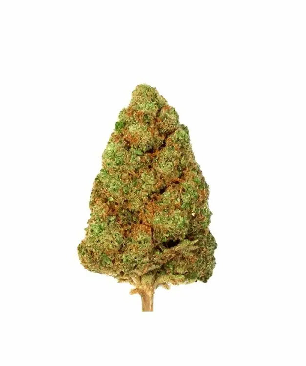 Gelato 41  - CBD non molleculée